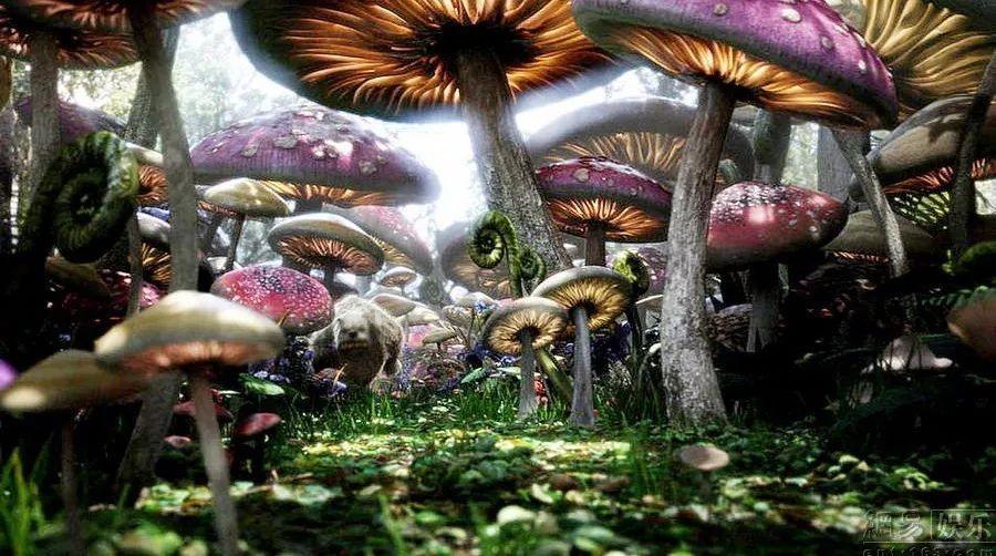 让生活更美好——晶台光耦引领家电智能升级!